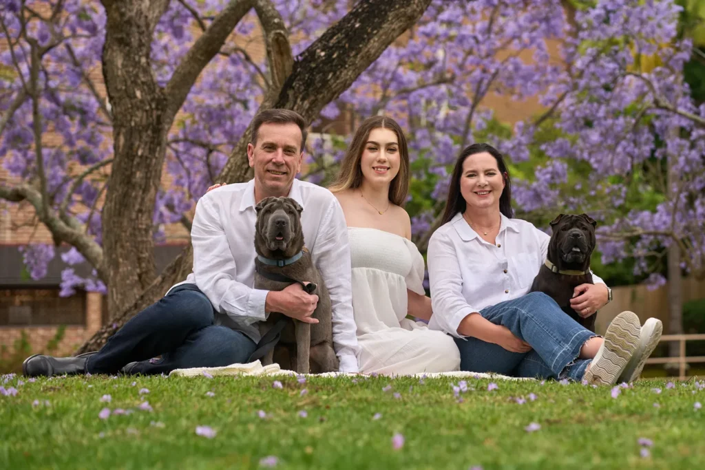 A family jacaranda photo shoot with with two dogs at Hornsby